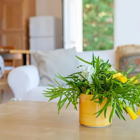 Epidavros Land Orfeas Villa Epidaurus